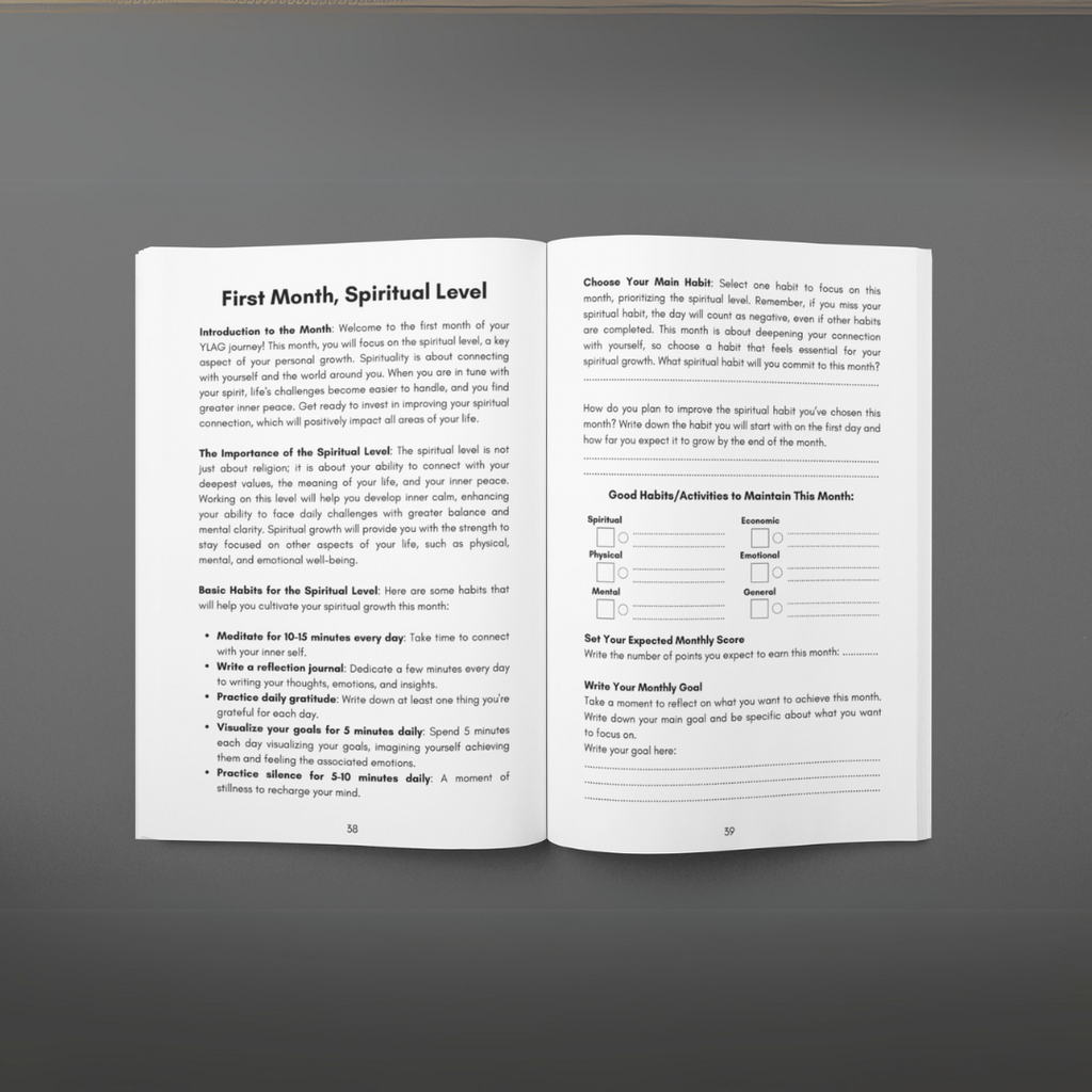 MISSION 30 - 3 Month guided system - self improvement - MINDSTONE