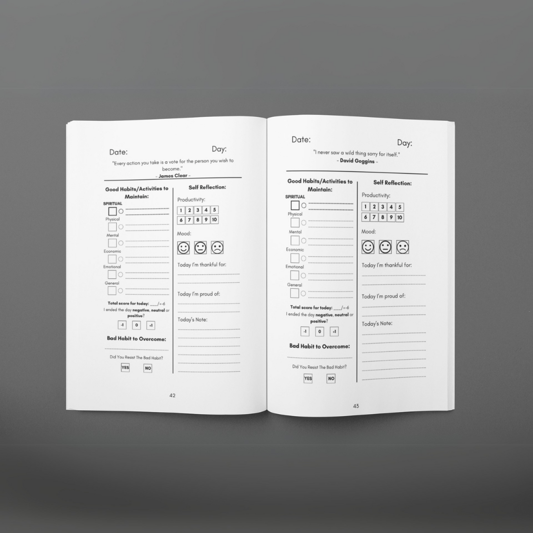 MISSION 30 - 3 Month guided system - self improvement - MINDSTONE