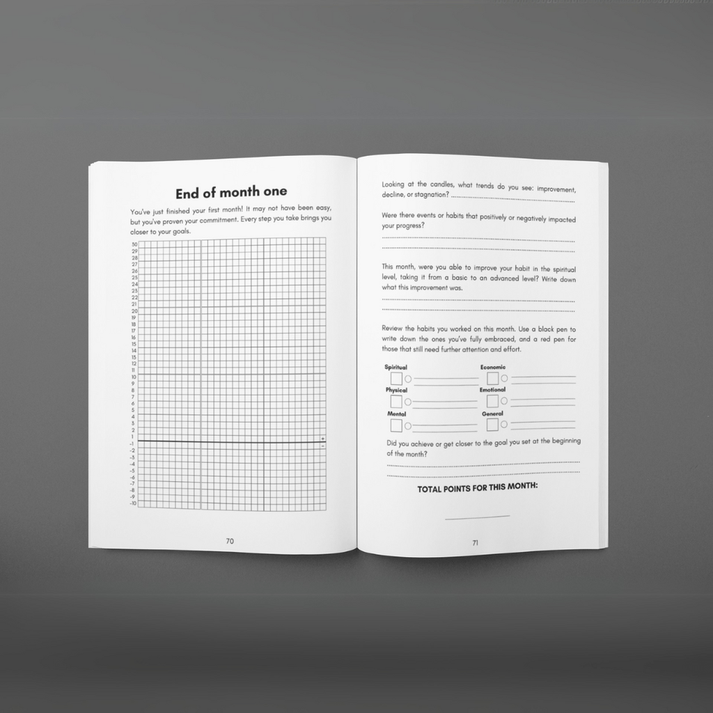 MISSION 30 - 3 Month guided system - self improvement - MINDSTONE