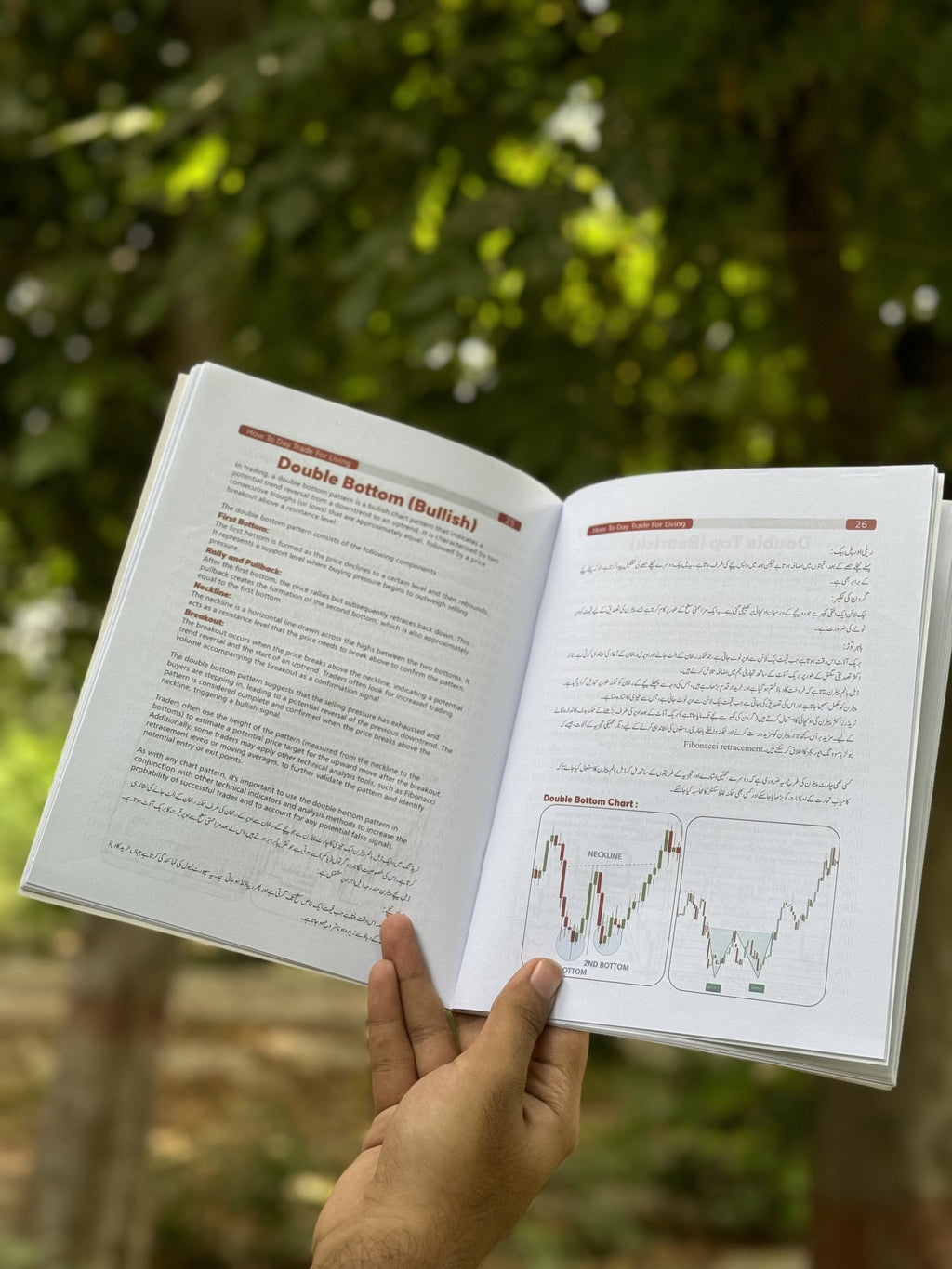 How To Day Trade For Living Book - MINDSTONE
