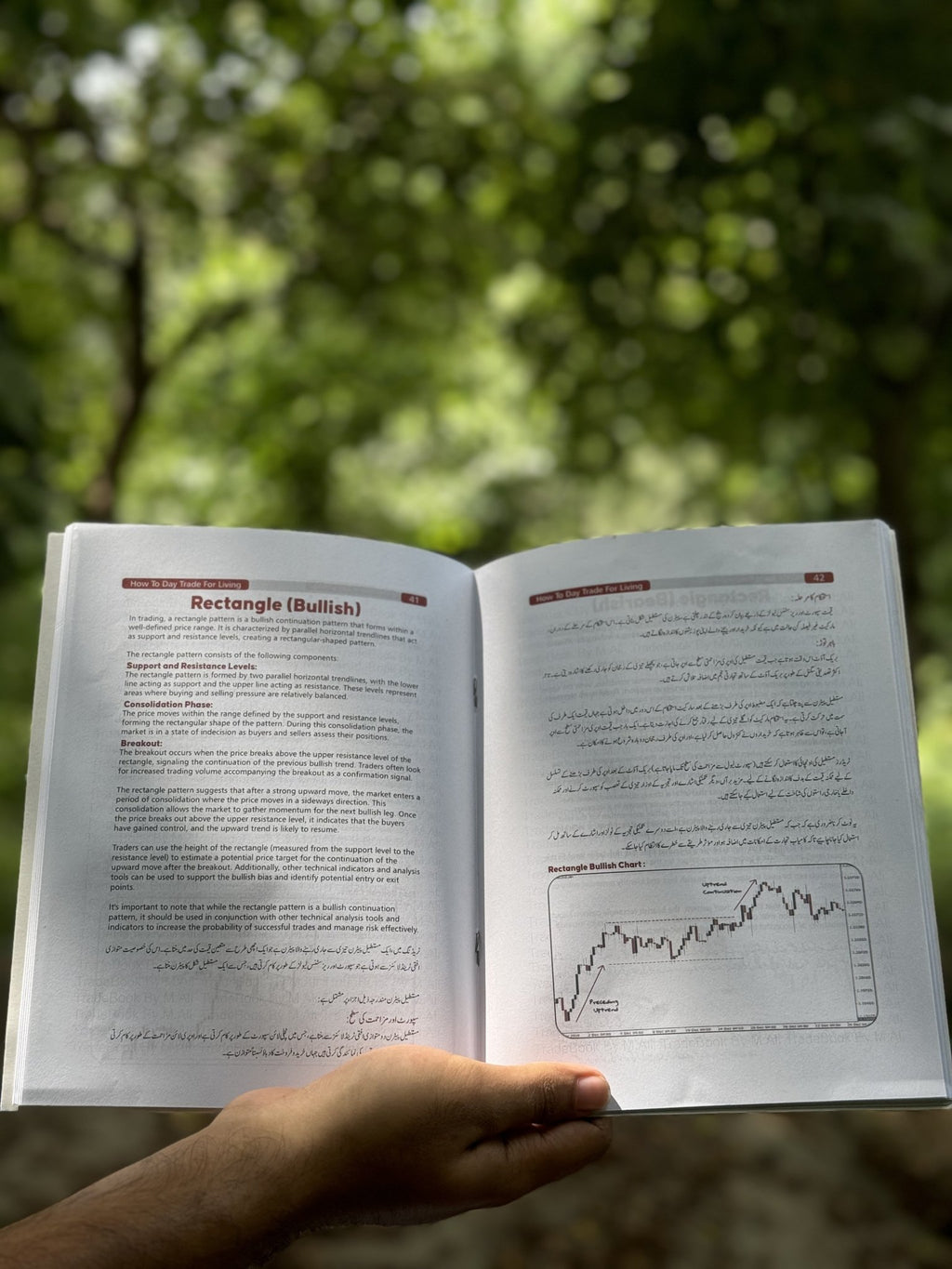 How To Day Trade For Living Book - MINDSTONE